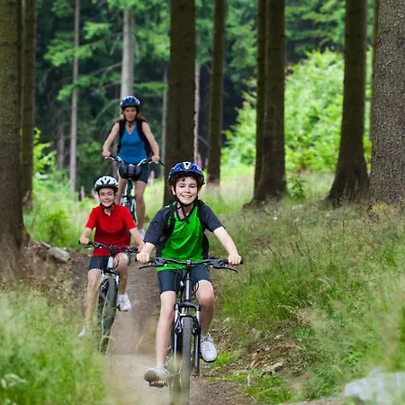Hrazdenka V Krusnych Horach Holiday home